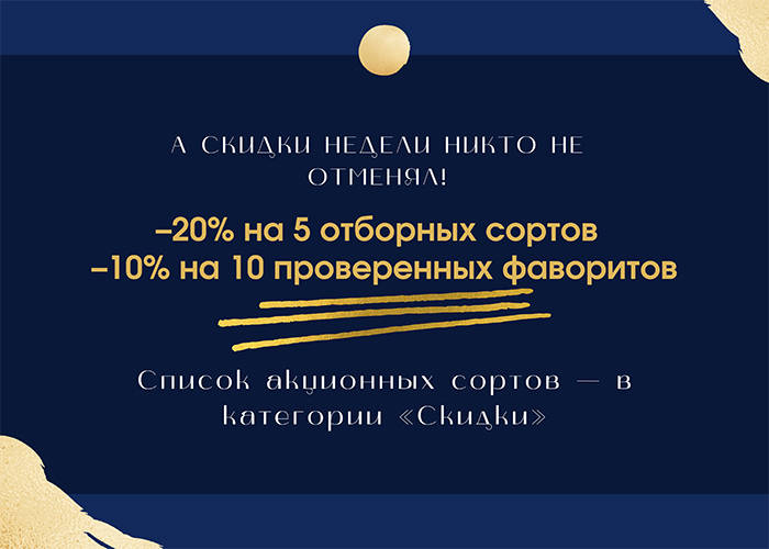 700-500-24-06-25-rus.jpg