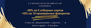320-100-24-06-25-rus.jpg