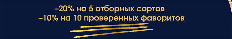 800-137-24-06-25-rus.jpg
