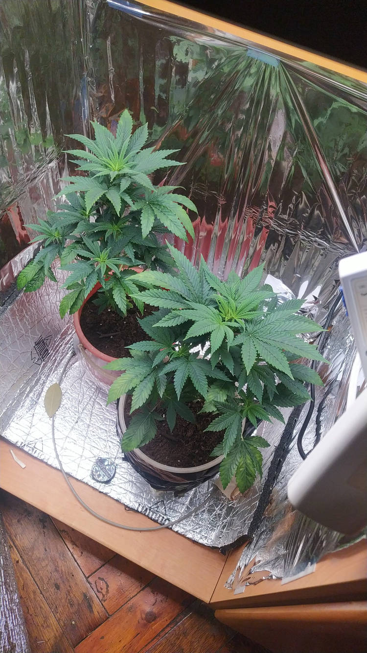 IMG-20250830-WA0004.jpeg