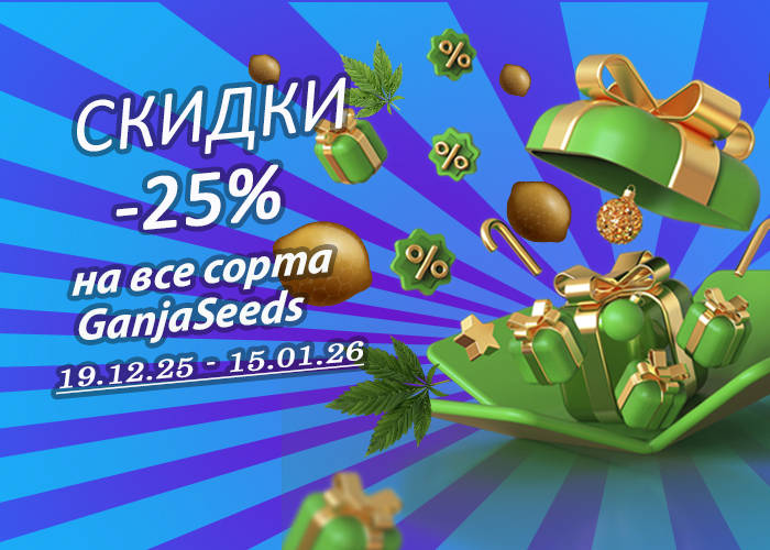 700-500-18-12-25.jpg