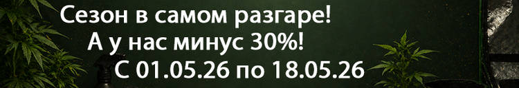 800-137-01.05.26.jpg