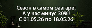 320-100-01.05.26.jpg