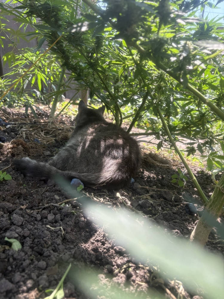 IMG_4789.jpeg
