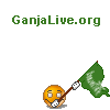 *GANJALIVE*