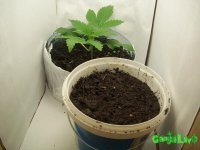 100_0157.jpg