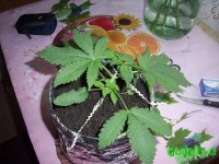 100_0164.jpg
