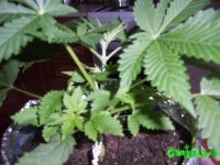 100_0172.jpg