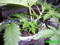 100_0178.jpg