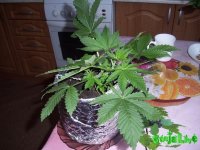 100_0179.jpg
