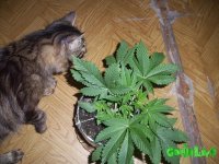 100_0182.jpg