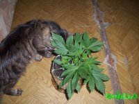 100_0183.jpg