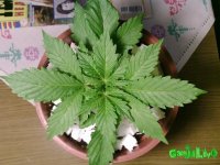 15 мая ррр.jpg