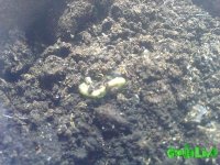 170520101462.jpg
