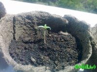 180520101466.jpg