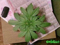 18 МАЙ РРР.jpg