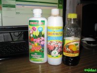 IMG_0358_1_1.jpg