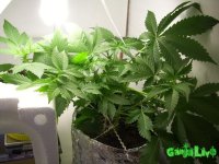 100_0195.jpg