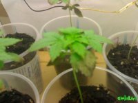 25052010099.jpg