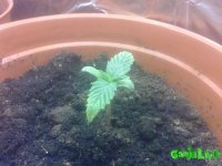 250520101517.jpg