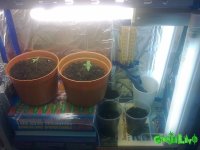 250520101520.jpg