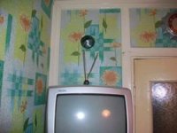 100_1692_новый размер_новый размер.JPG