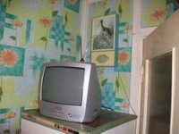 100_1689_новый размер_новый размер.JPG