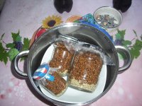 100_0268.jpg