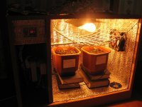 IMG_4026.jpg