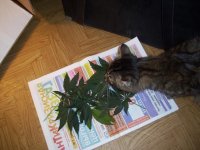 100_0305.jpg