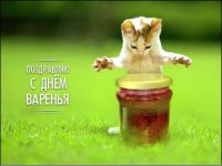 32966854_23305799_21316600_den_vareniya.jpg