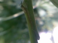 26072010(009).jpg
