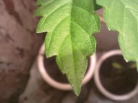 02032010071.jpg