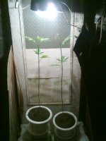 30072010098.jpg
