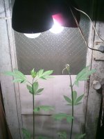 30072010099.jpg