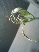 30072010103.jpg