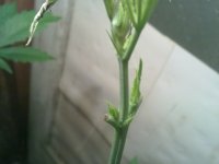 30072010113.jpg