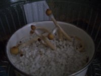 100_0401.jpg