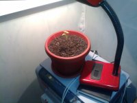 26082010076.jpg