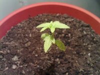 26082010073.jpg