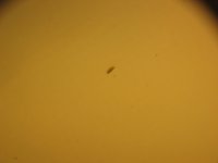 IMG_3079.JPG