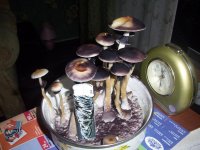 100_0436.jpg
