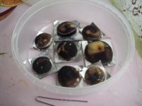 100_0441.jpg