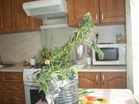 100_0446.jpg
