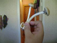 shroom.jpg