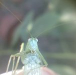 19082010(002)(обрезка 1).jpg