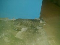 31072010181.jpg