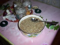 100_0528.jpg