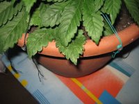 IMG_4640_изменить размер.jpg