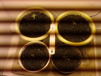 03102010203.jpg